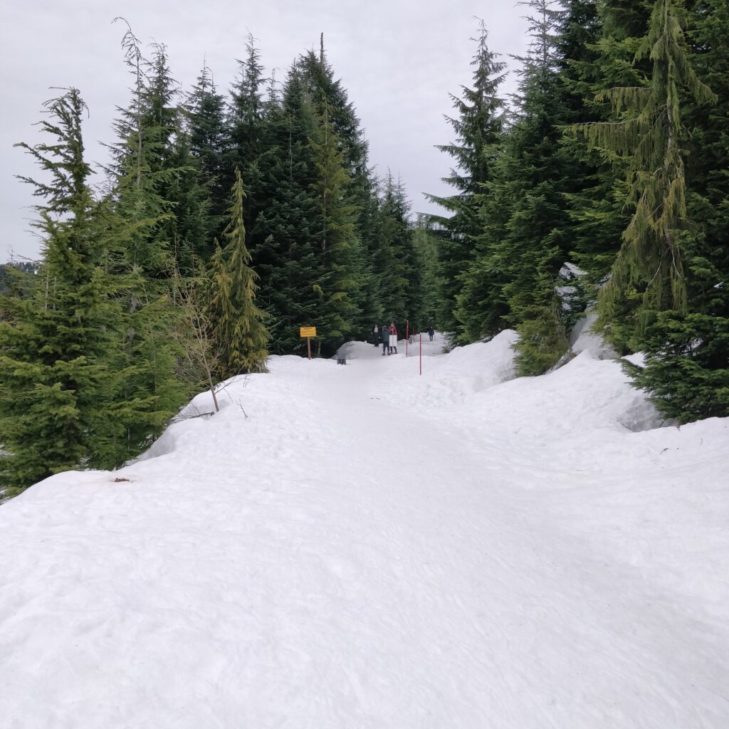 Hollyburn Trailhead