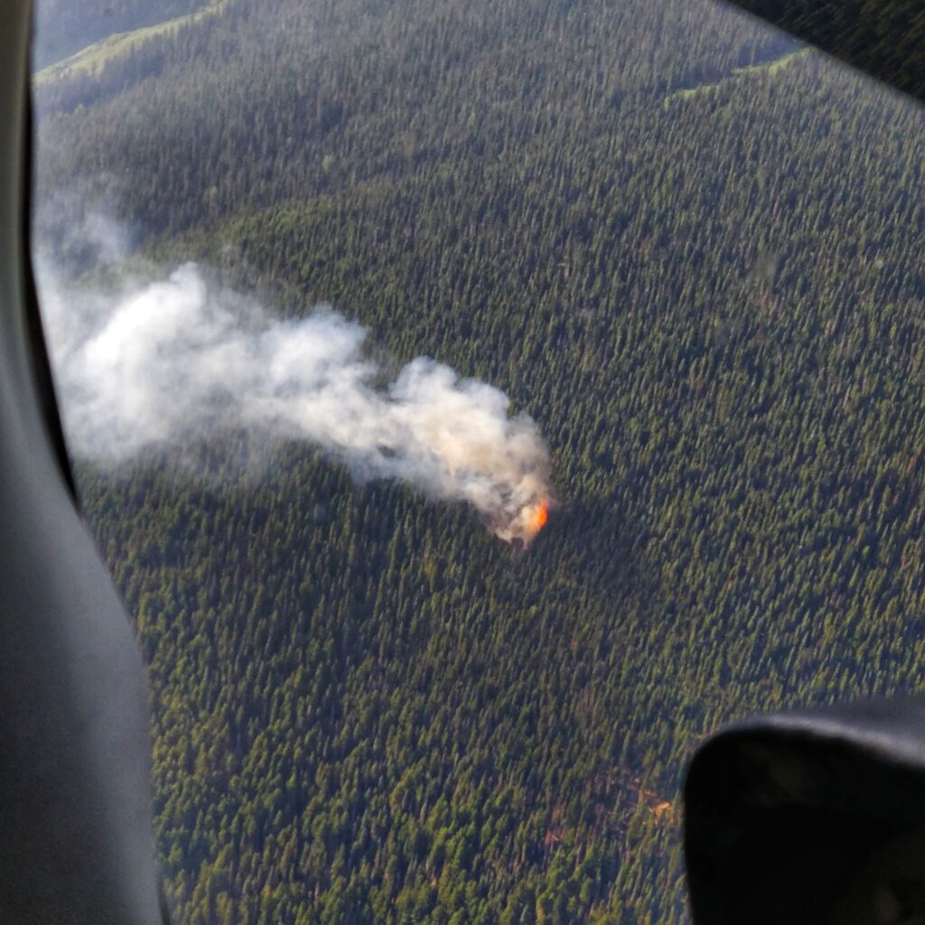 Wildfire burning in the forest fire